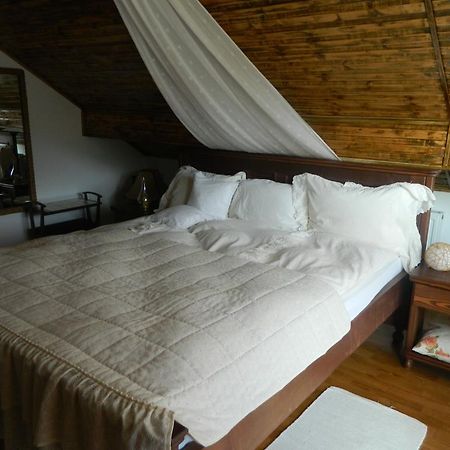 Pensiunea Romantic Sadu Exterior photo
