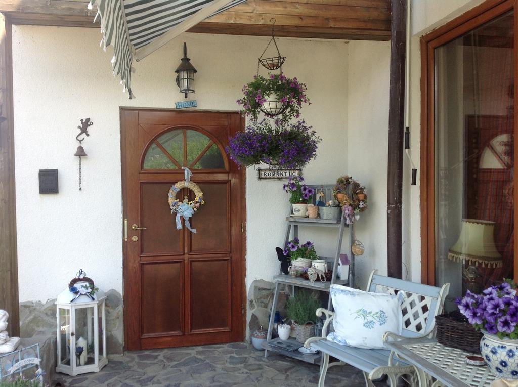Pensiunea Romantic Sadu Exterior photo