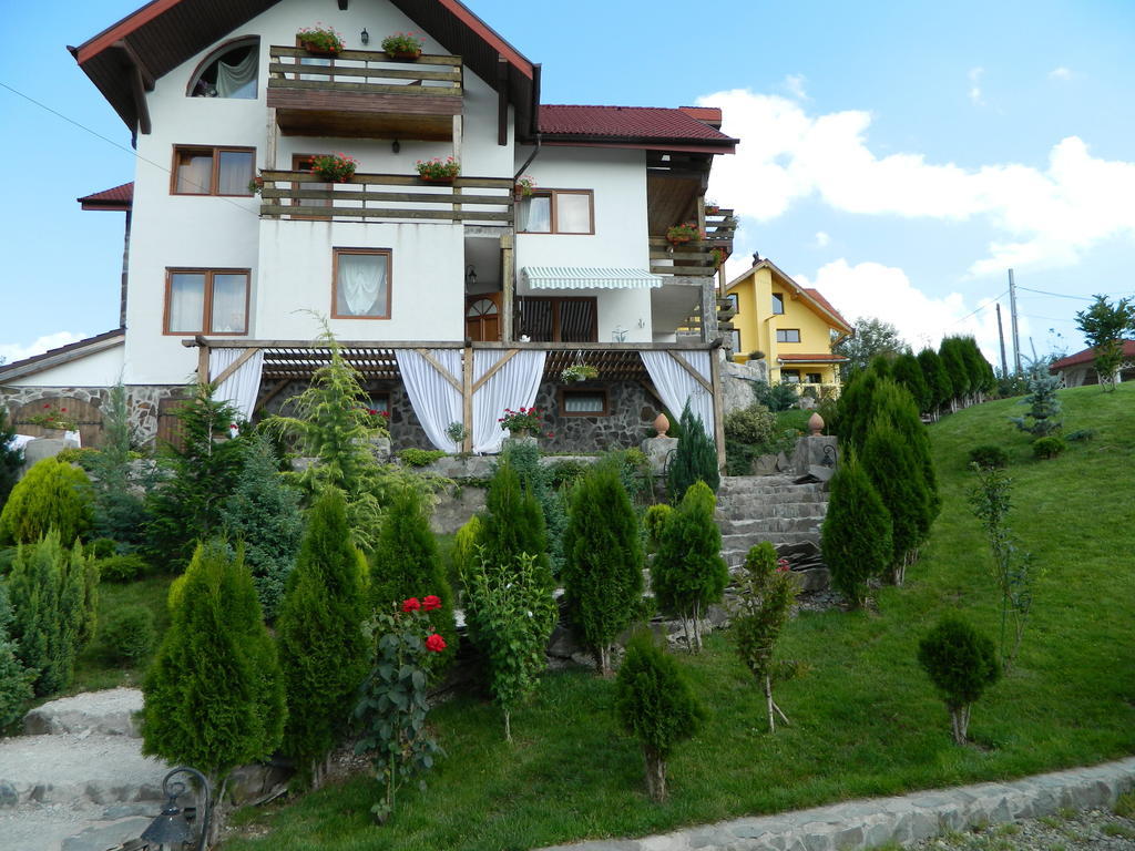 Pensiunea Romantic Sadu Exterior photo